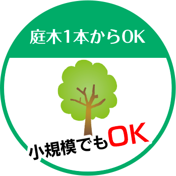 鹿児島伐採専門店 MK興産は庭木1本からOK 小規模でもOK!!